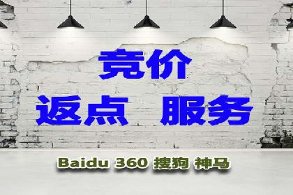 SEM开户全流程解析：成功案例分享